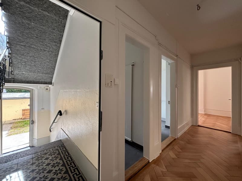Charmant 3 pièces rénové à la Nelkenstrasse 4, Bienne (7)