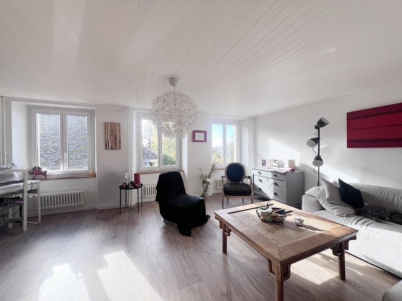 Charmante maison villageoise rénovée (9)