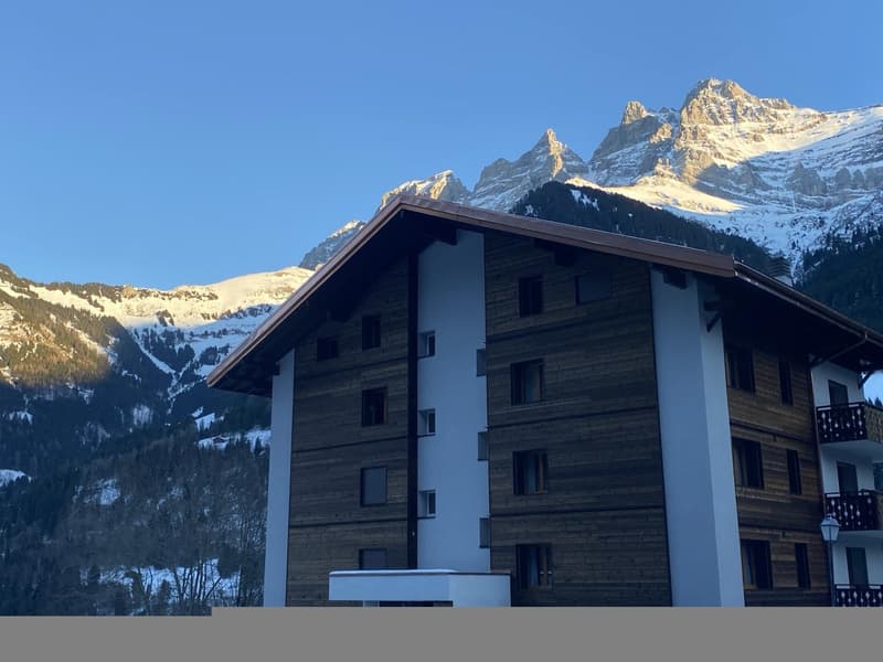 Votre hiver face aux Dents du Midi (7)
