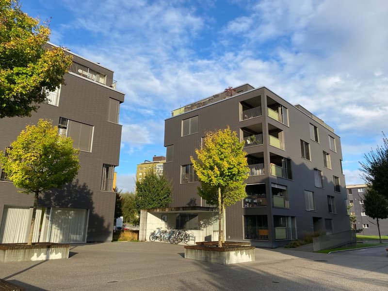 Appartement moderne 4.5 pièces pour vous et votre famille (1)