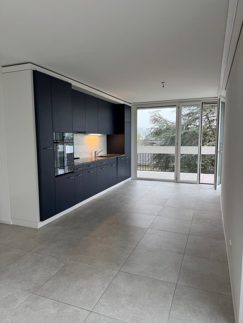 Energy-Efficient Living - Allschwil in Heuwinkel (8)