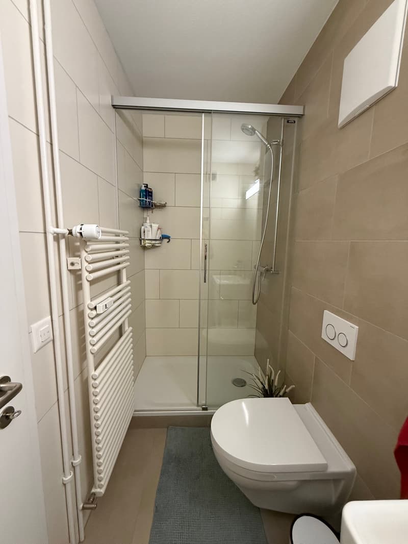 3-Zimmer-Wohnung mit Stil und neuer Ausstattung (10)