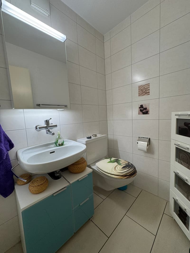 Centrally located 4.5 room apartment with spacious balcony (14)
