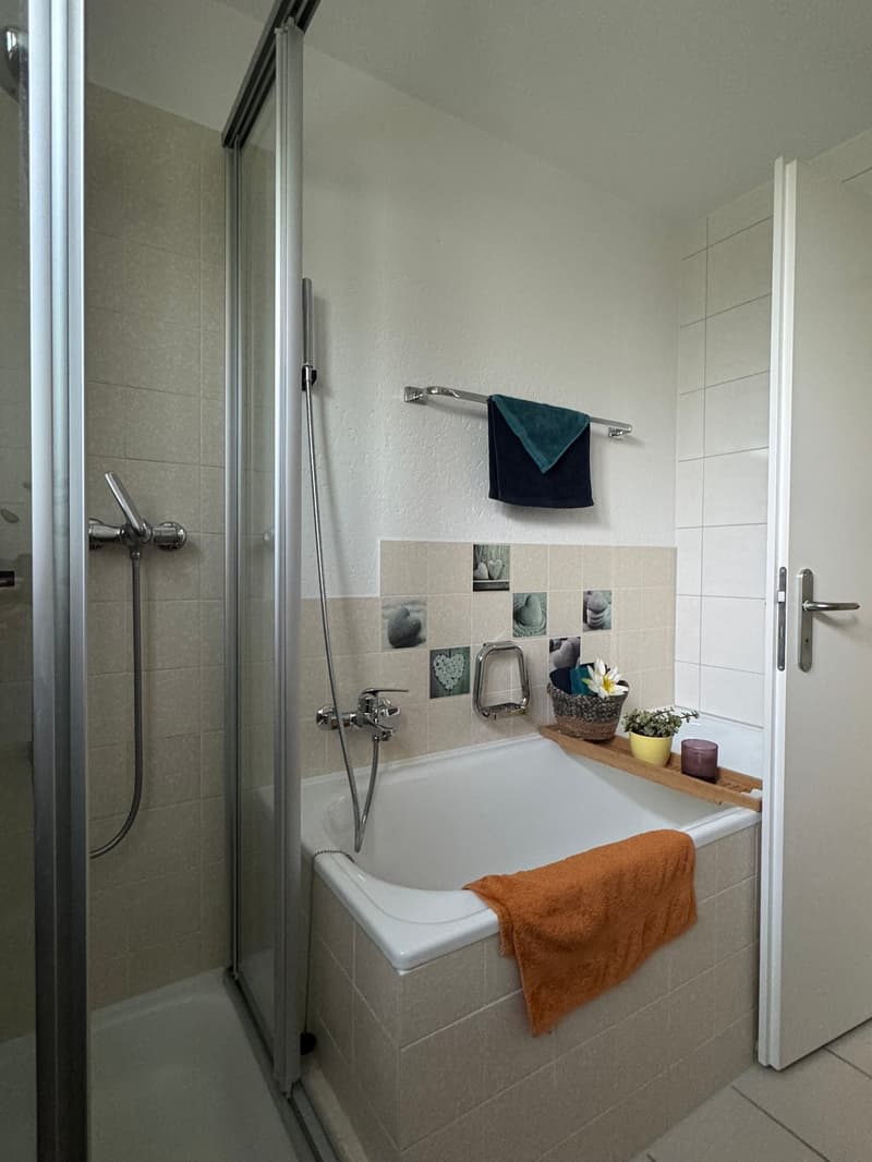 Centrally located 4.5 room apartment with spacious balcony (13)