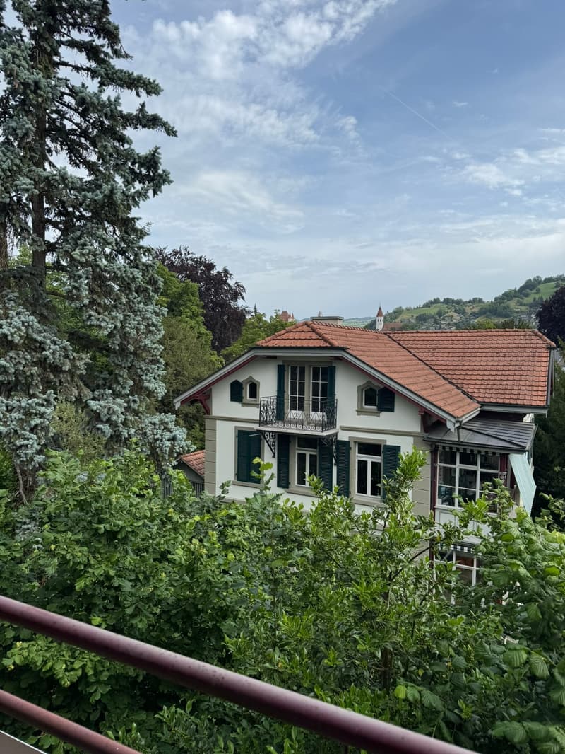 Charmante 4.5-Zimmer-Maisonette-Wohnung (13)
