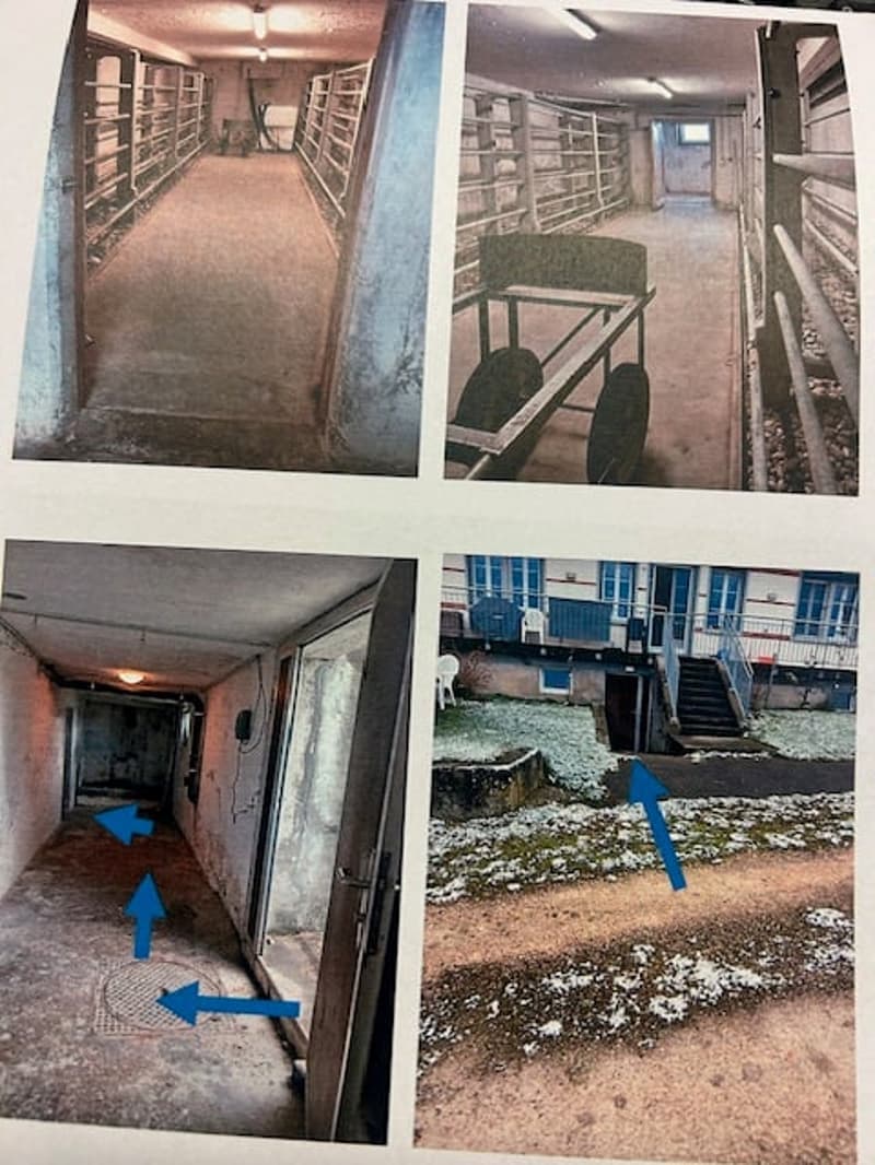 Grosser Keller mit gutem Zugang (1)