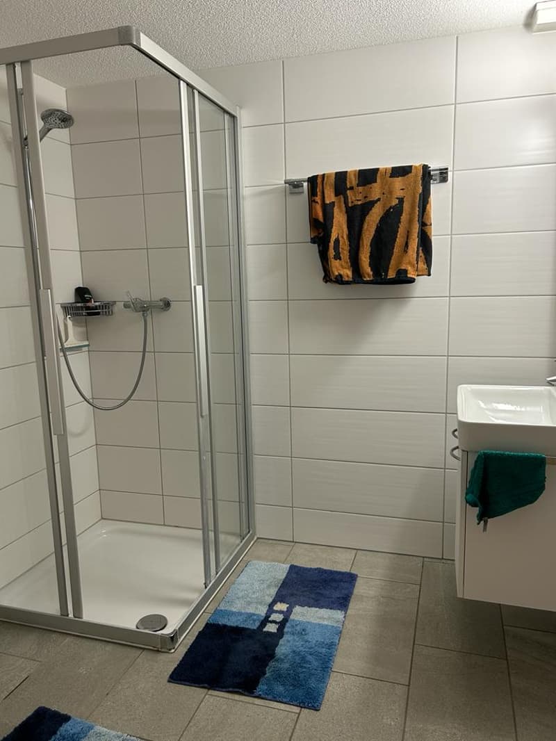 Cozy 2.5-room apartment in quiet Guggisberg (10)