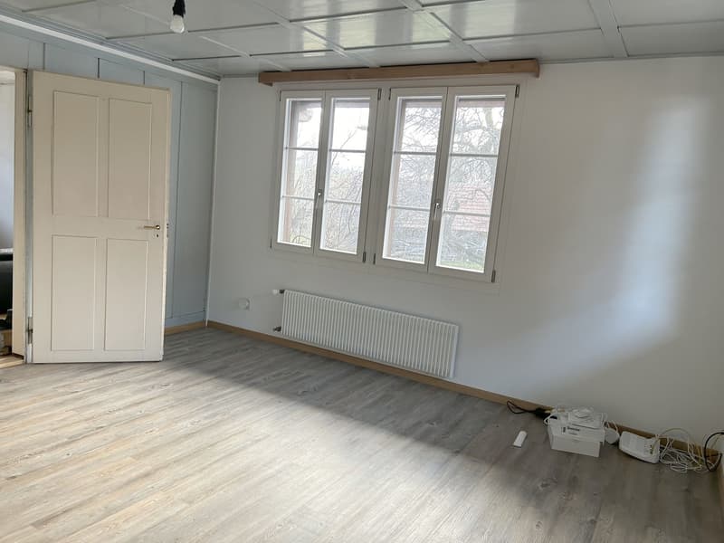 Charming 3-room apartment with great ambiance (7)