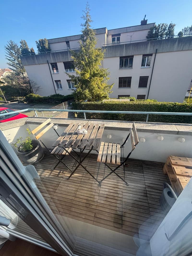 Sonnige 3-Zi-Whg an erhöhter Lage in Pieterlen (2)
