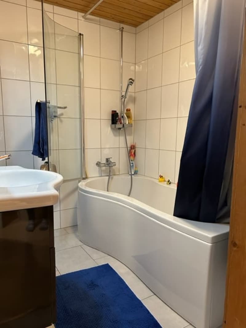 Charmante 3.5 Zimmer-Dachwohnung mit viel Cachet (10)