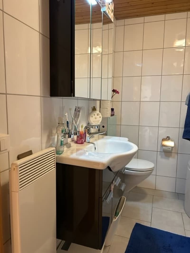 Charmante 3.5 Zimmer-Dachwohnung mit viel Cachet (11)