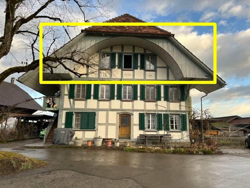 Charmante 3.5 Zimmer-Dachwohnung mit viel Cachet (1)