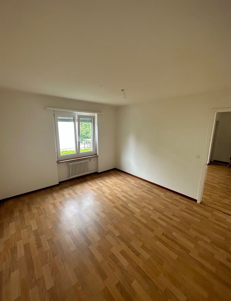 2-Zimmer-Wohnung im ruhigen Quartier (2)