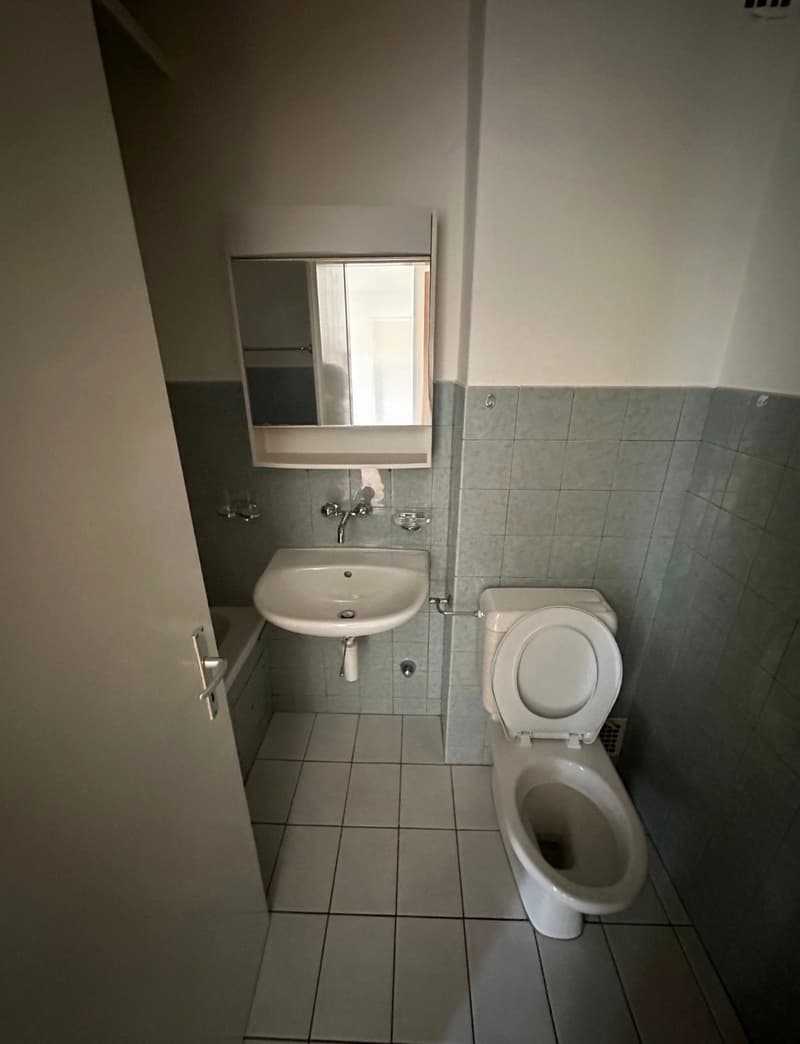 2-Zimmer-Wohnung im ruhigen Quartier (3)