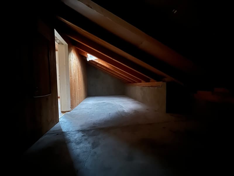 Ruhige 1-Zimmer-Wohnung, ideal für eine Einzelperson (7)