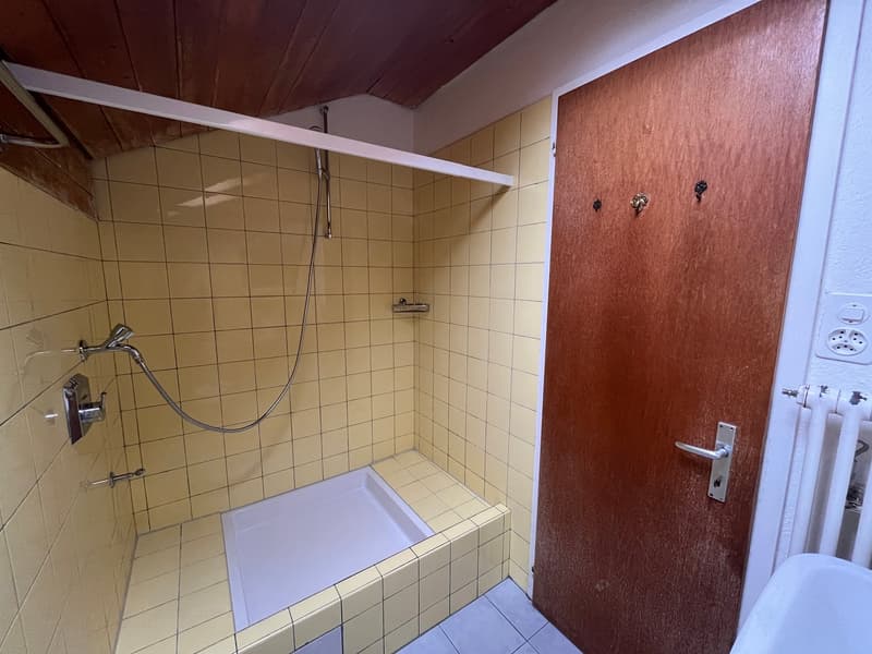 Ruhige 1-Zimmer-Wohnung, ideal für eine Einzelperson (5)