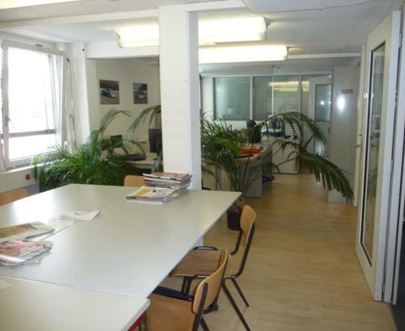 Open office space with large windows, wooden floors, conference table, chairs, and potted plants