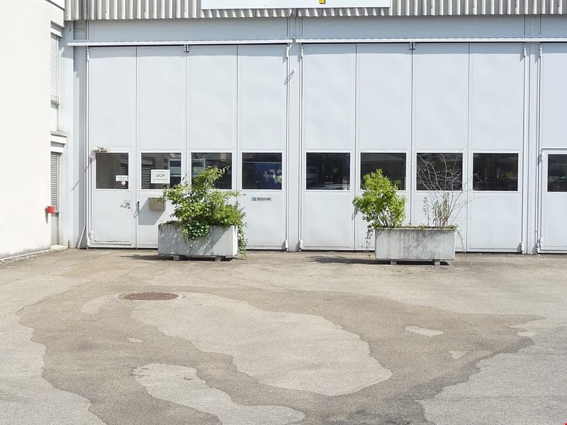 Large commercial building with glass windows and doors, concrete floor, and potted plants placed outside the entrance.