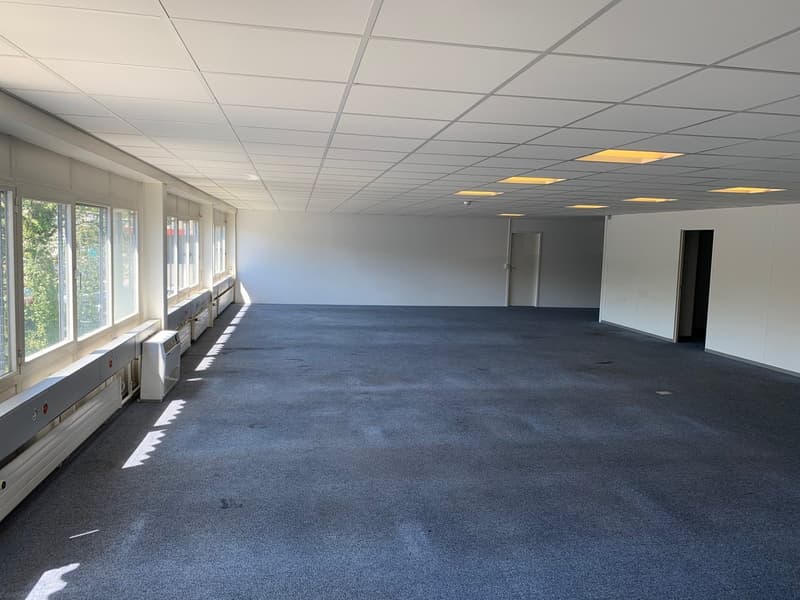 Large open office space with gray carpeted floor, white ceiling tiles, and large windows along one wall providing natural light. The room appears to be empty and ready for use.