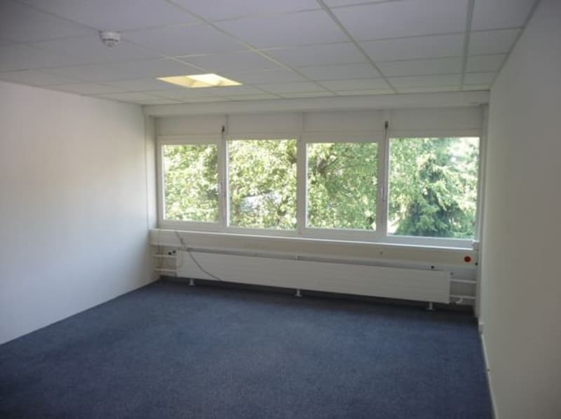 The image shows a spacious office room with large windows overlooking a wooded area. The room has a neutral color scheme with white walls and a blue carpeted floor. There is overhead lighting and a radiator visible. The room appears to be empty and ready