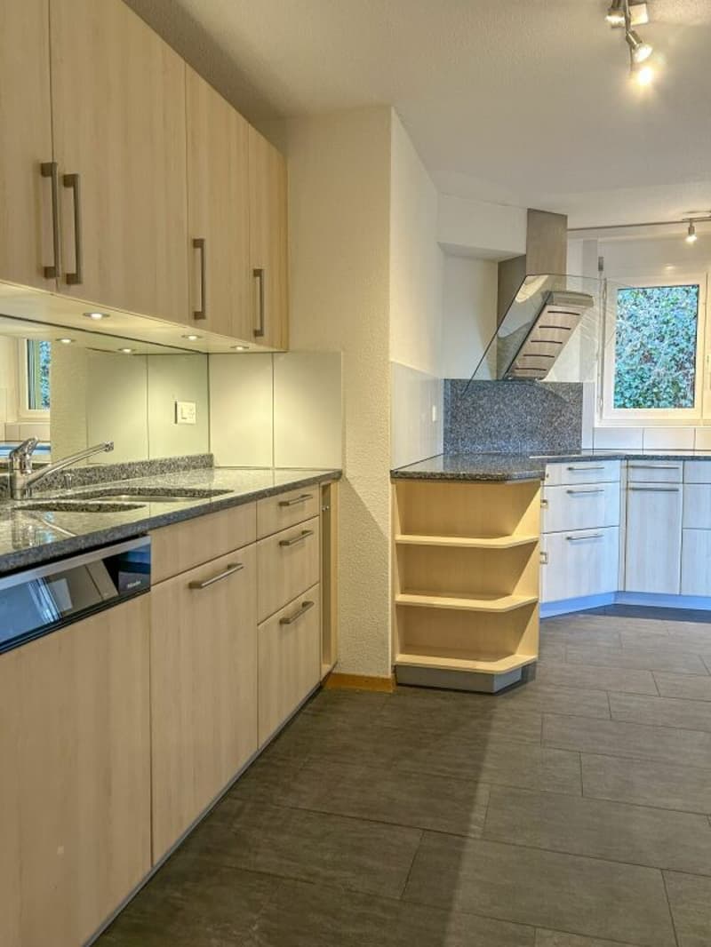 Spacious 4.5 room apartment (6)