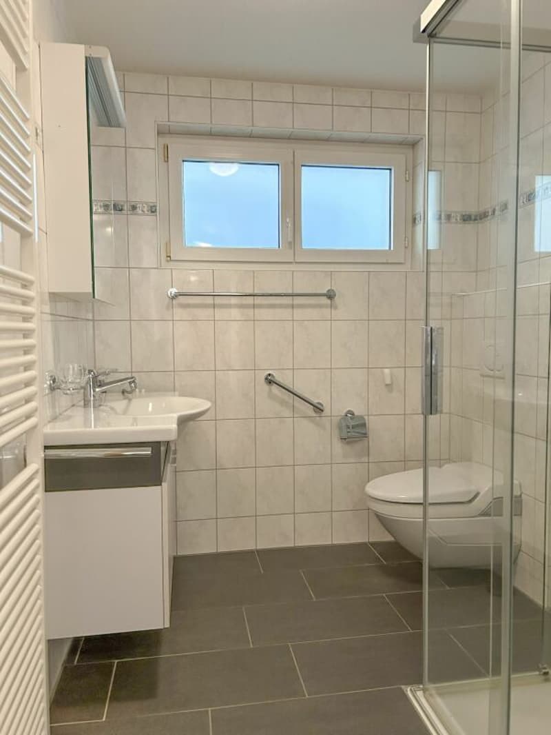 Spacious 4.5 room apartment (8)