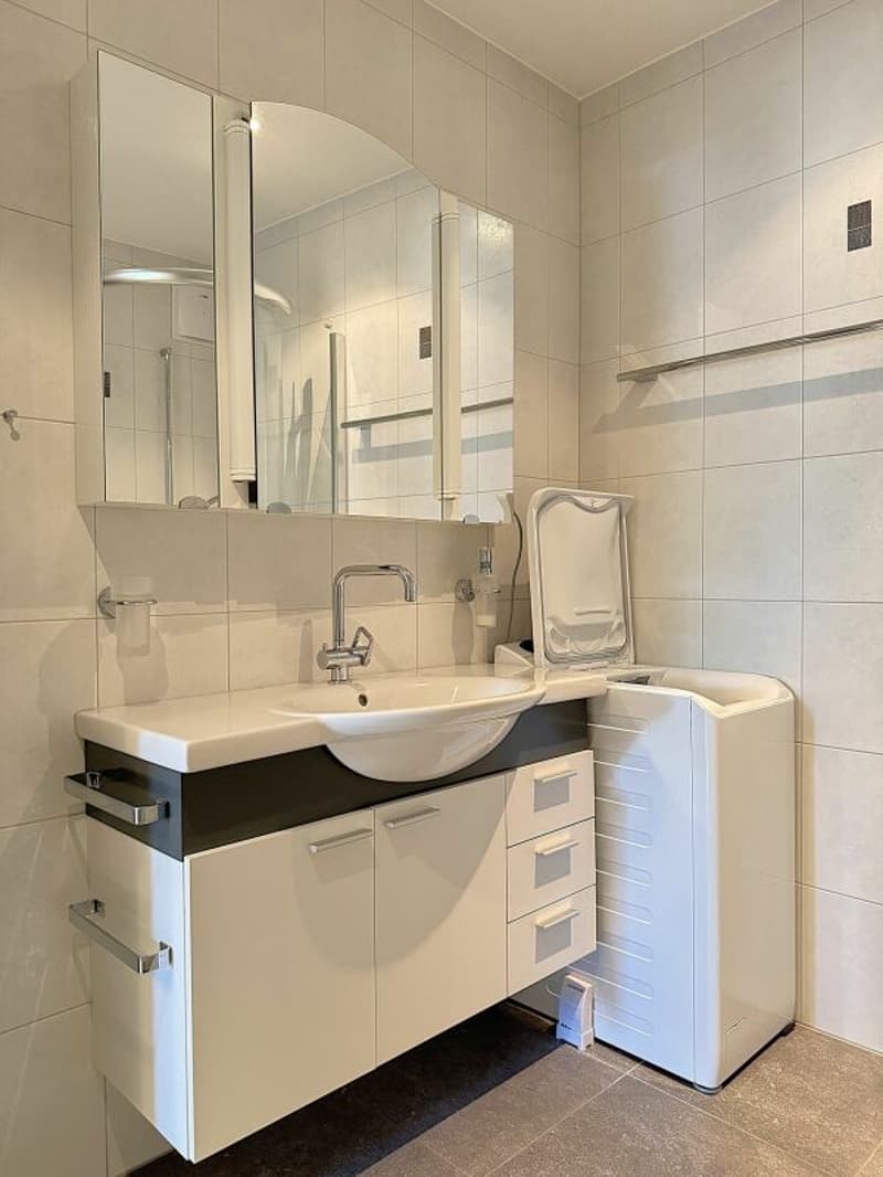 Attractive and centrally located attic apartment with gallery (10)
