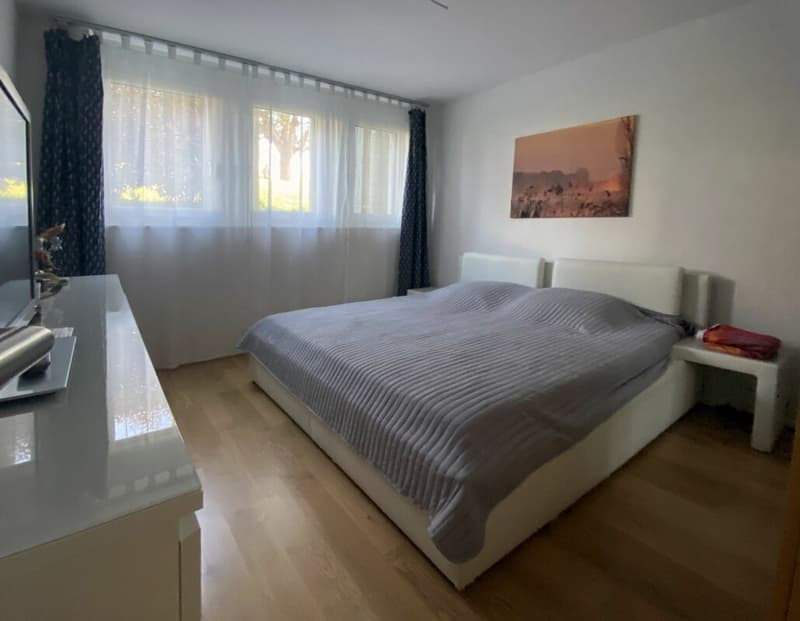 Newly valued garden apartment in an idyllic location (8)