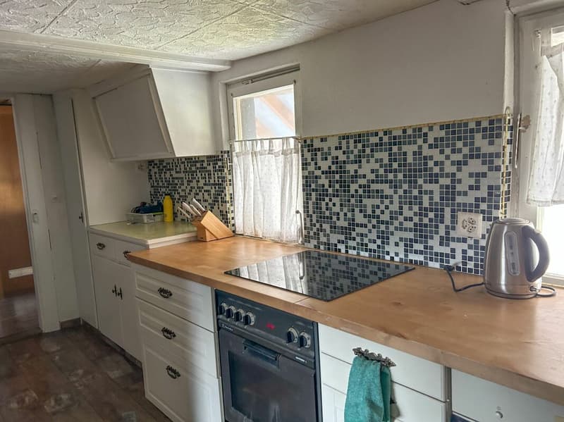 Exciting property with many possibilities (11)