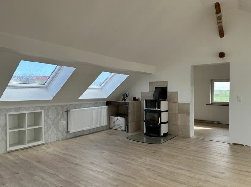 Exciting property with many possibilities (5)