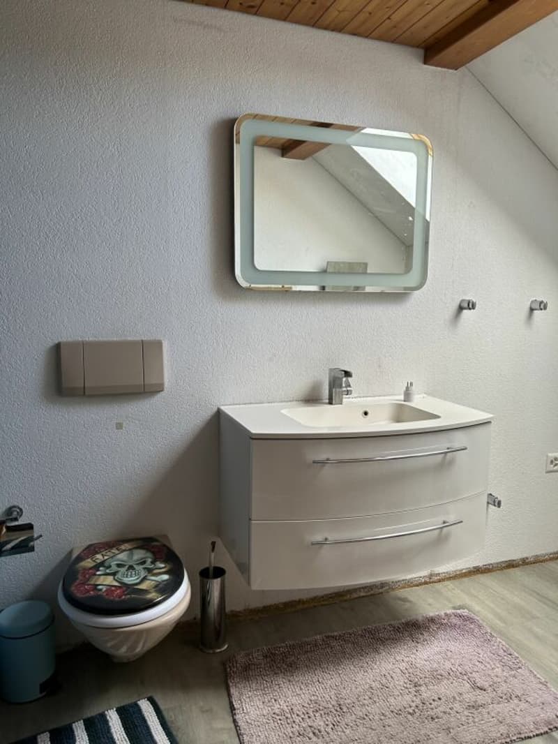 Exciting property with many possibilities (6)