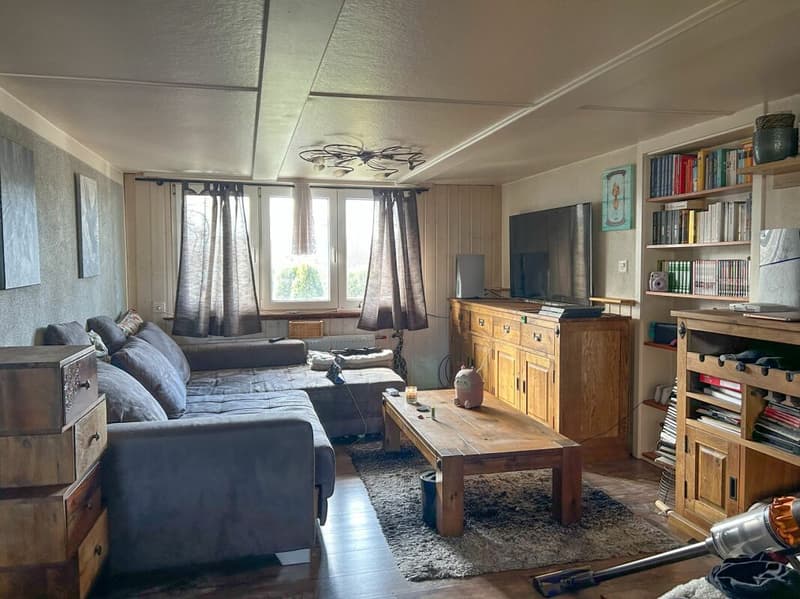 Exciting property with many possibilities (12)