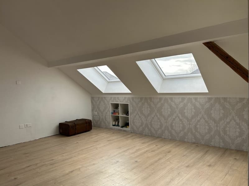 Exciting property with many possibilities (2)