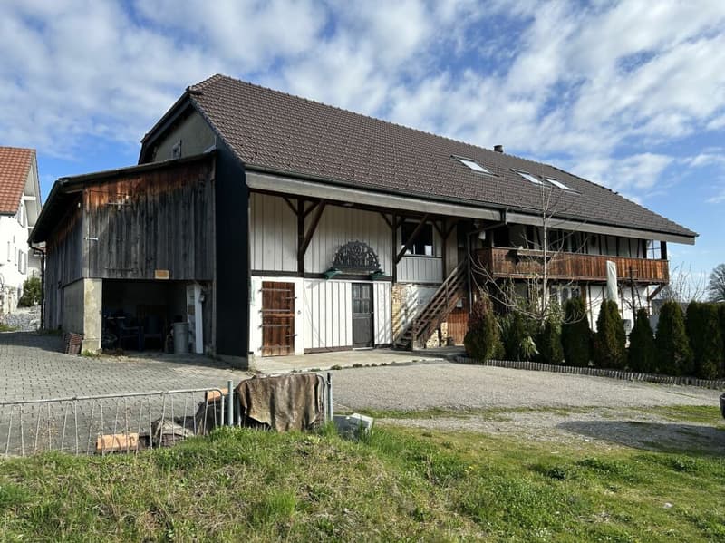 Exciting property with many possibilities (14)