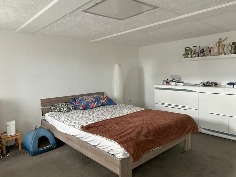 Exciting property with many possibilities (7)