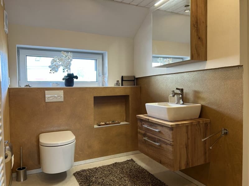 Exciting property with many possibilities (8)