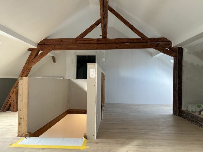 Exciting property with many possibilities (4)