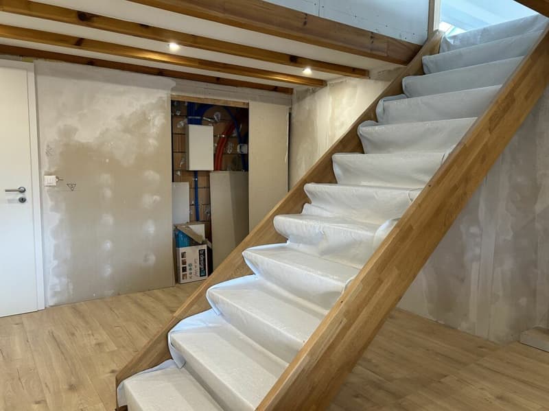 Exciting property with many possibilities (3)