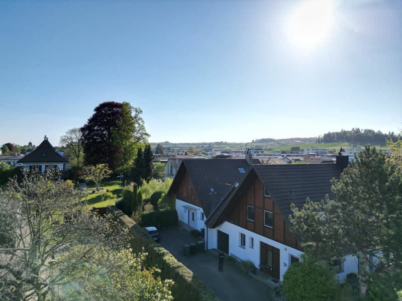 Heimeliges und charmantes 5.5-Zimmer-Einfamilienhaus an bester Lage (8)