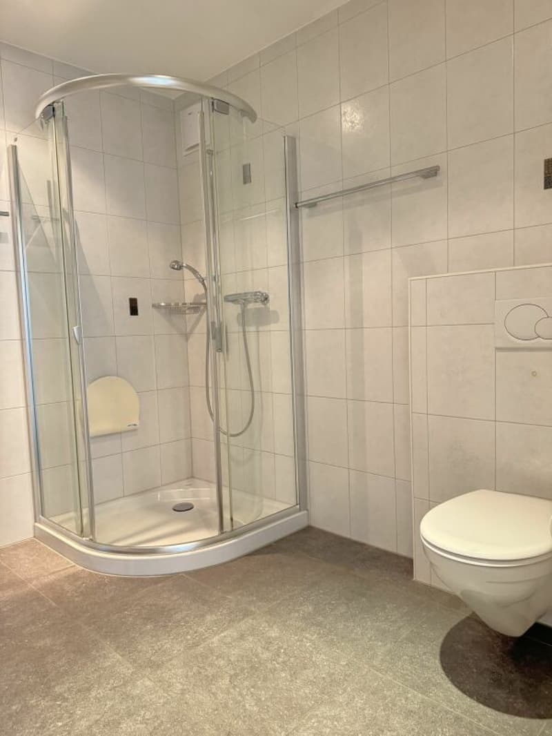 Attraktive und zentral gelegene Dachwohnung mit Galerie (8)