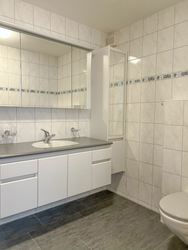 4.5 Zimmer Wohnung - grosszügig und zentral (9)