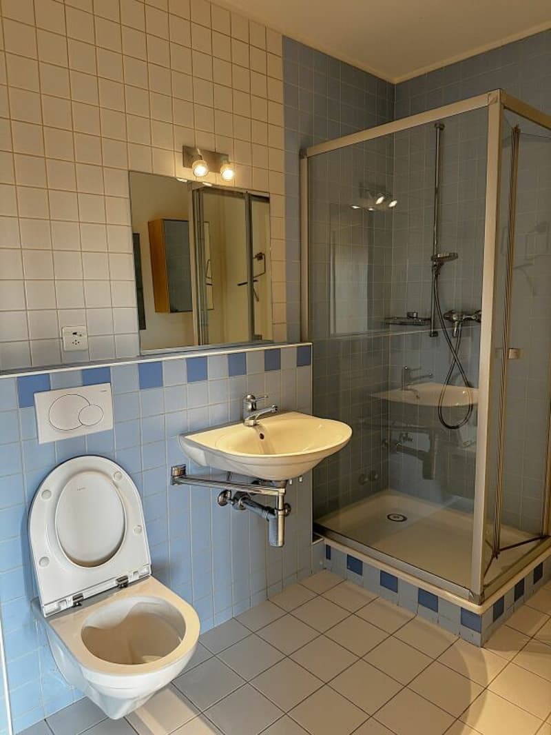 Wohnjuwel im Holligenquartier Bern (9)