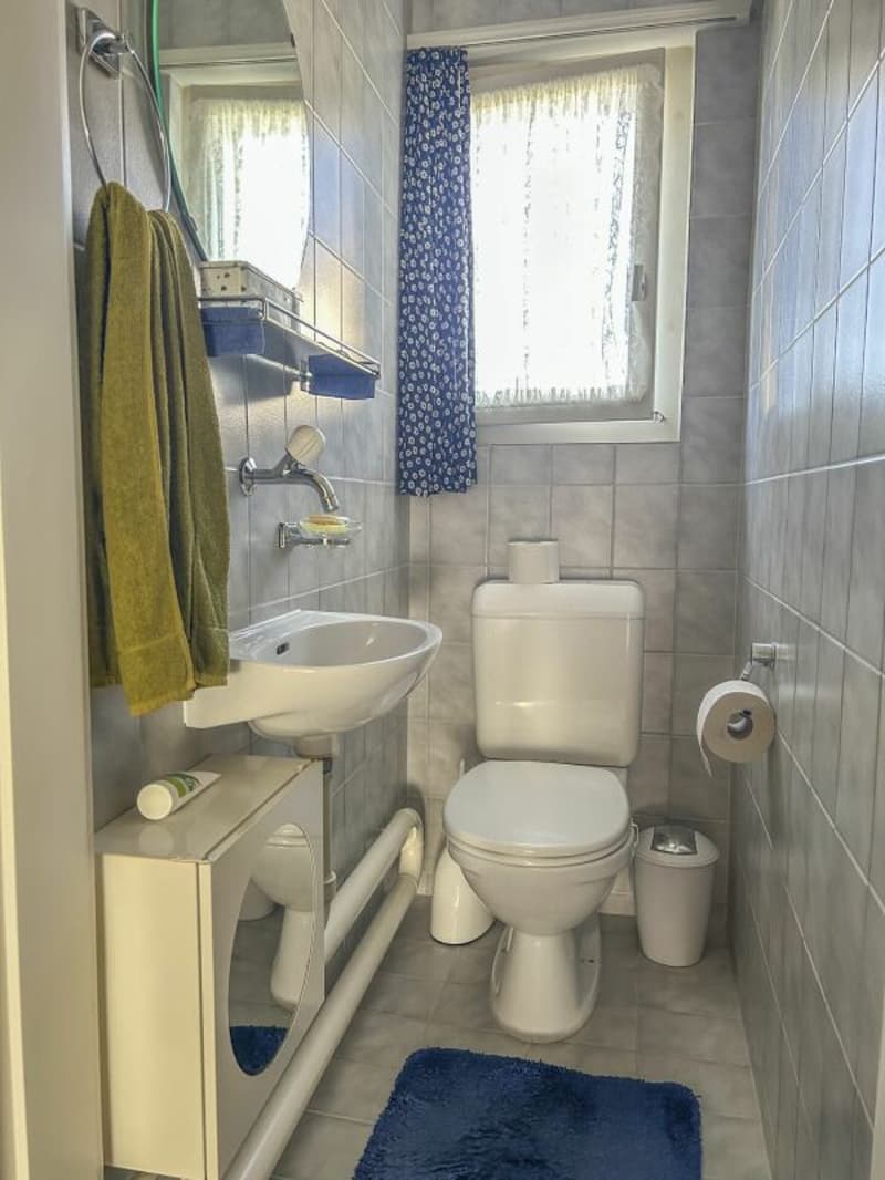 schmuckes Familienhaus an perfekter Lage (11)