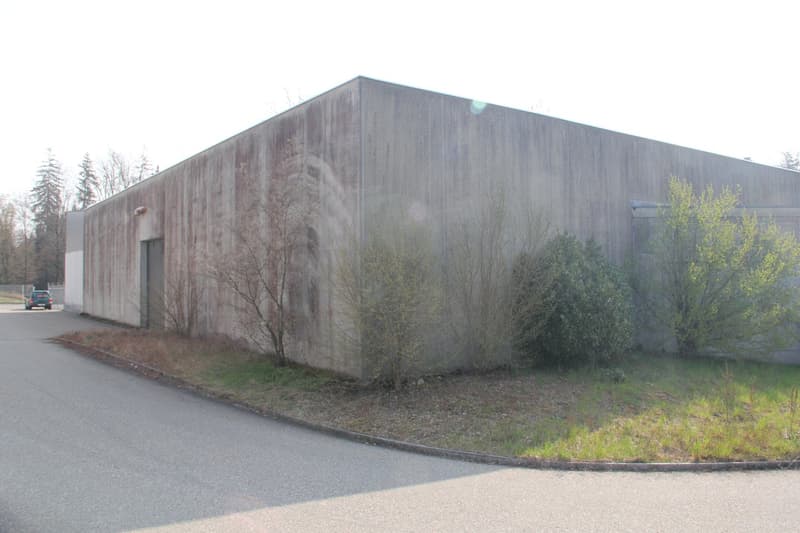 Large concrete building, multiple entrances, surrounded by greenery