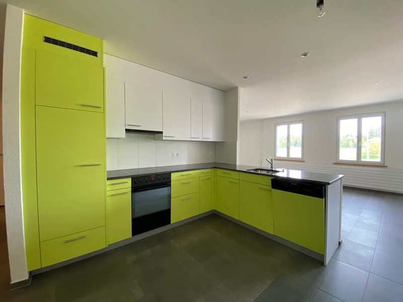 neon green cabinets, white countertops, electric oven, sink, dishwasher, power outlets, windows