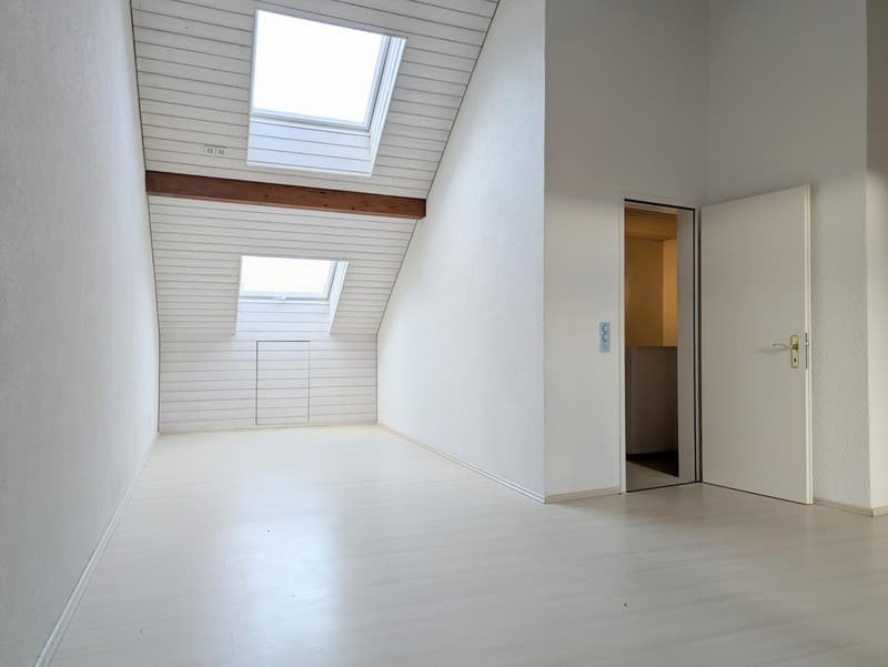 empty room, white walls, wooden floor, two skylights, door
