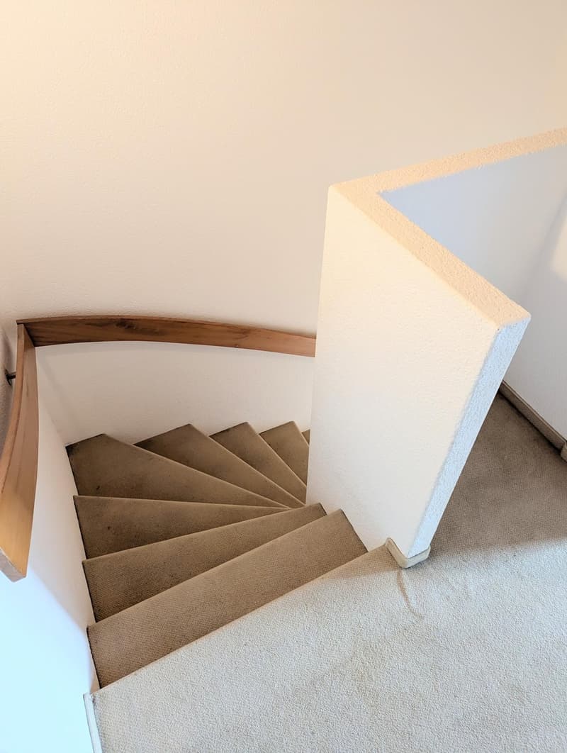 Carpeted staircase with wooden handrail