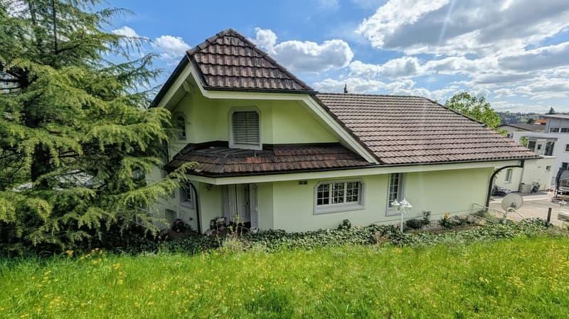 Dreamy country house villa with a wonderful view (1)
