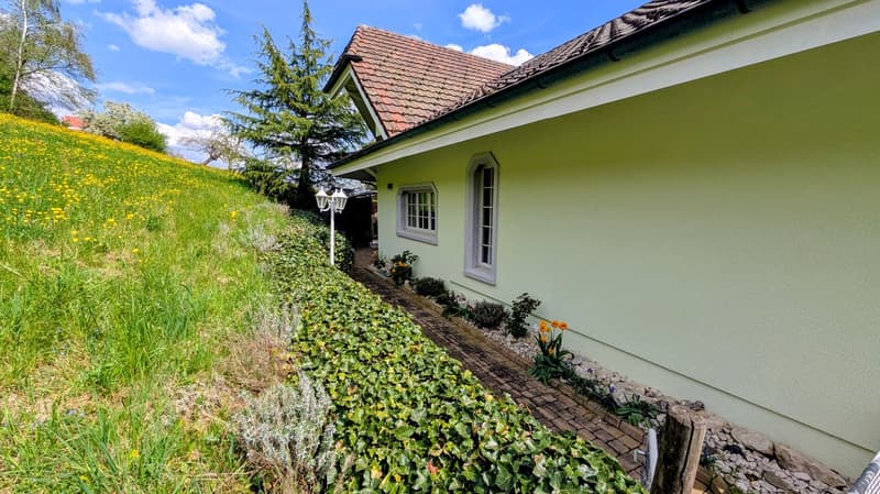 Dreamy country house villa with a wonderful view (2)