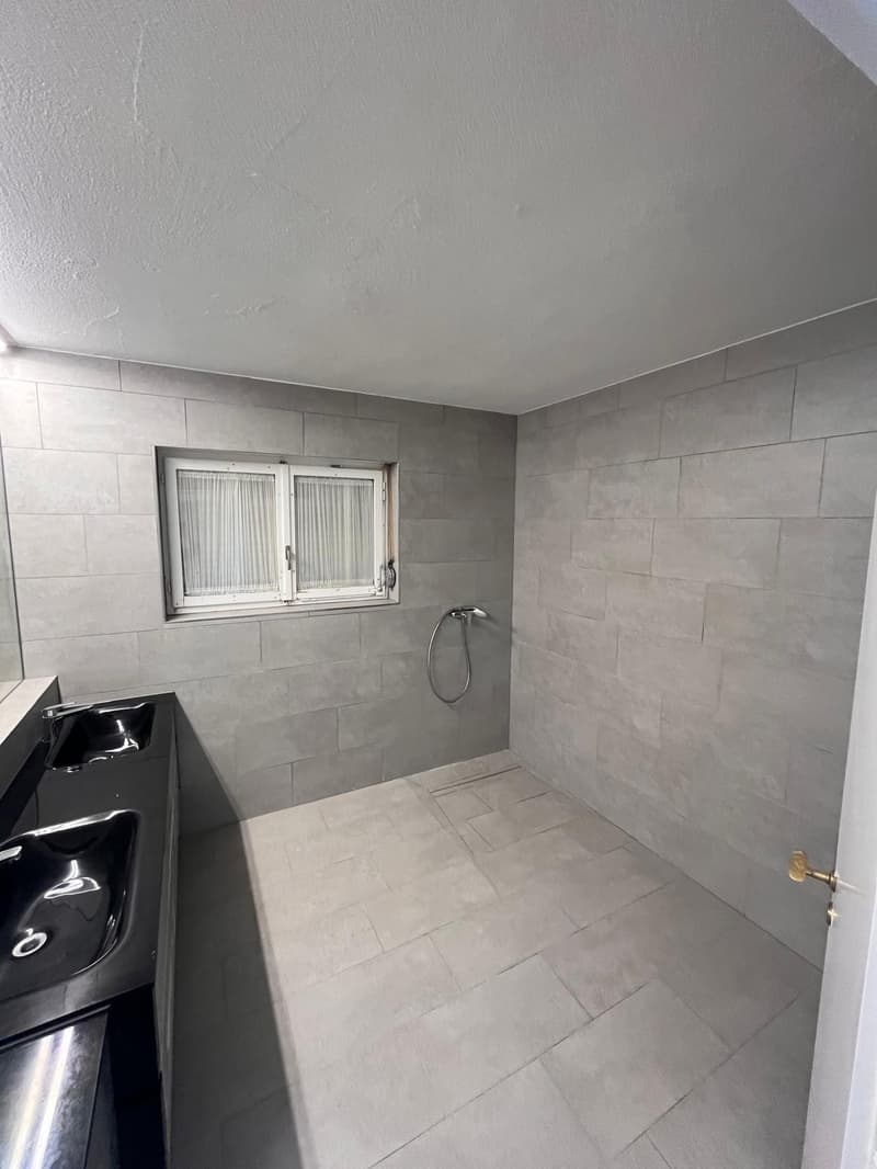 Ideale per famiglia o convivenza – Spaziosa casa unifamiliare di 12 stanze (16)
